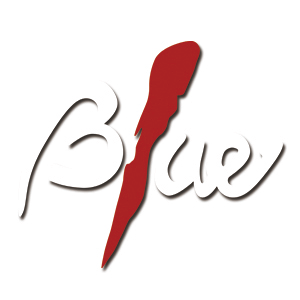 藍格子傳播實業有限公司Logo